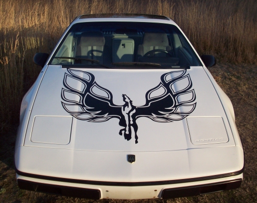 Pontiac Fiero Pegasus Emblem 3.4 Vinyl Decal Your Color Choice Sticker 